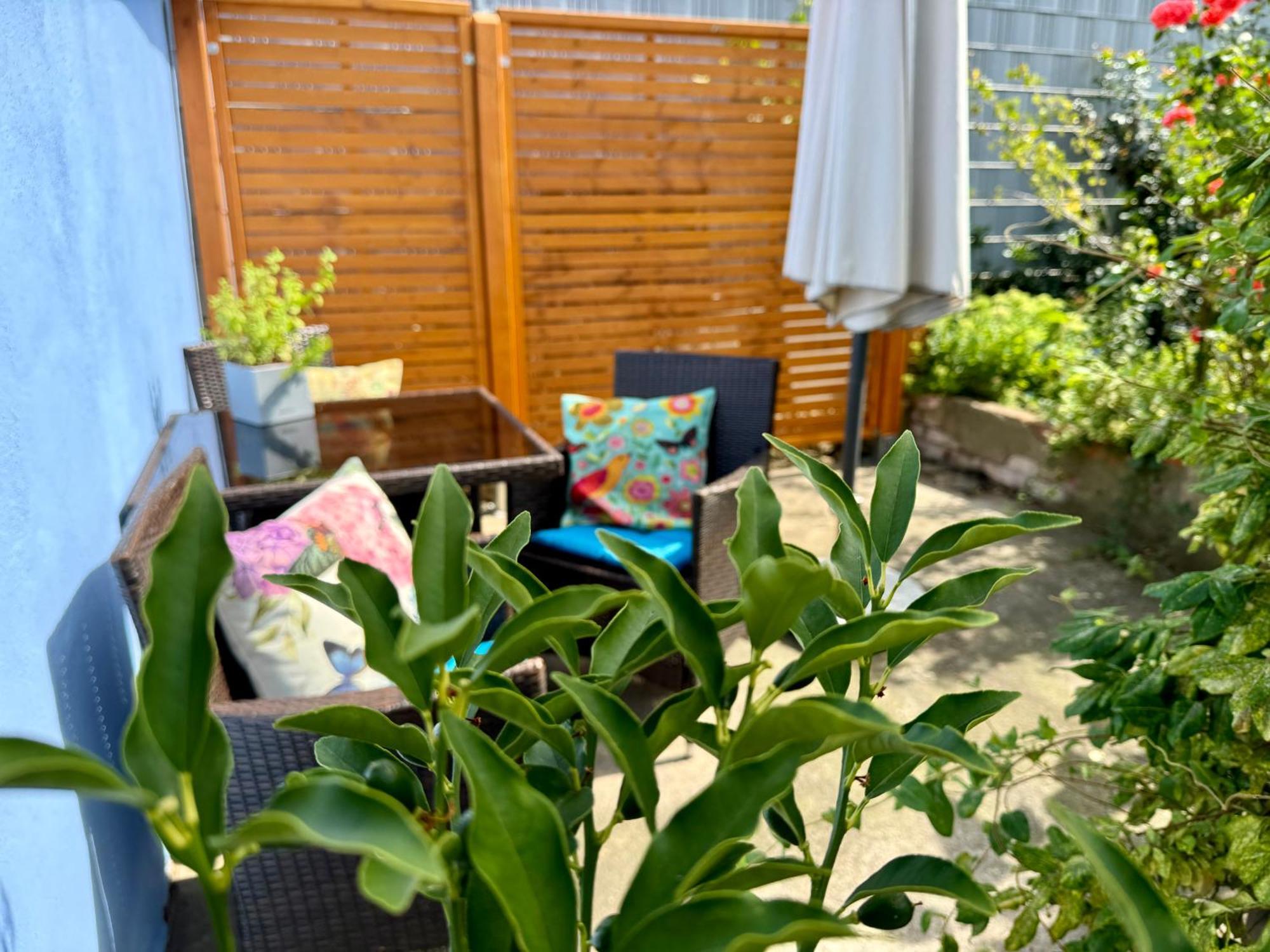 Apartment Im Elbtal Weinboehla ภายนอก รูปภาพ